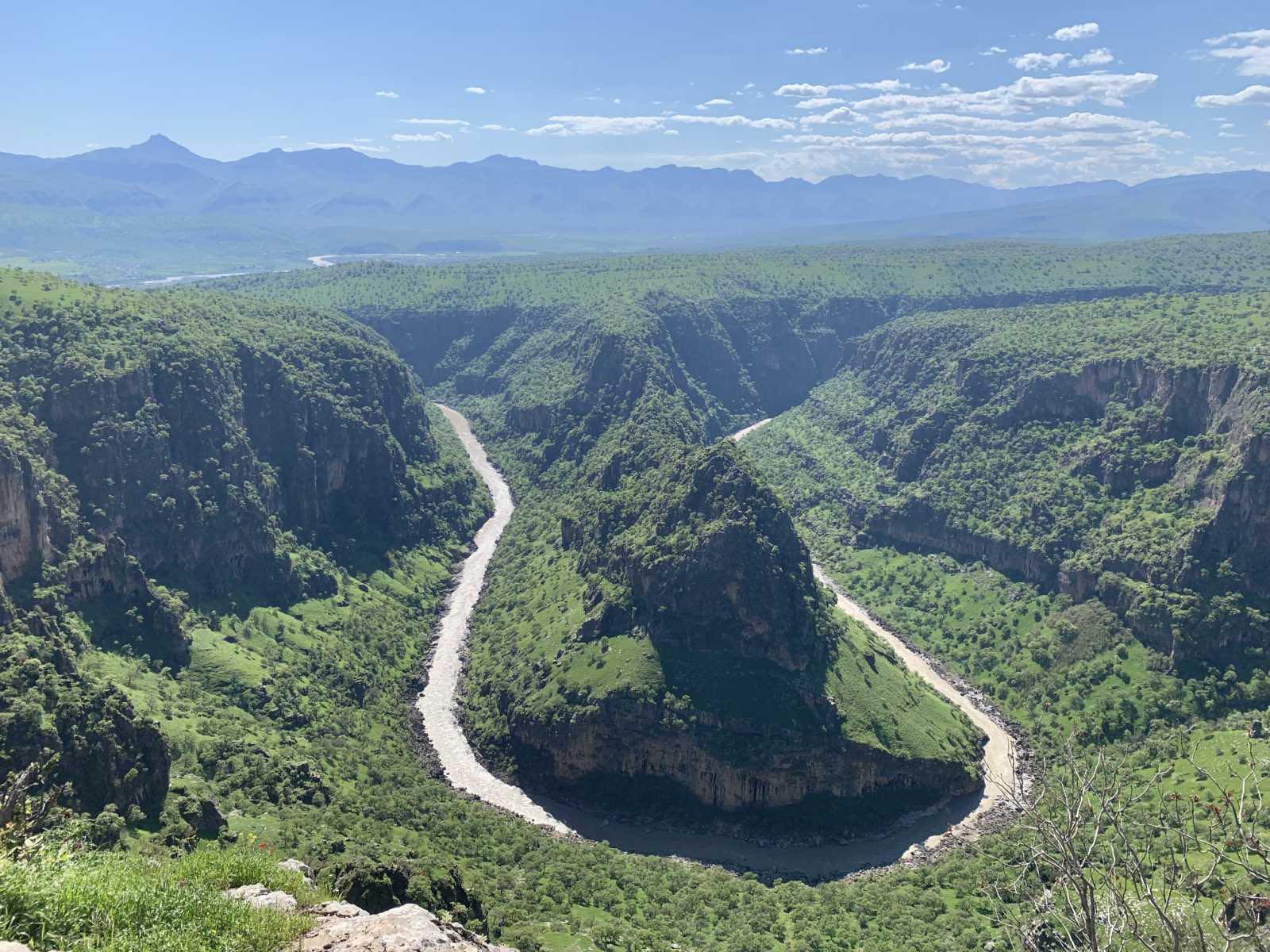 Kürt yönetmene ‘en iyi film’ ödülü
